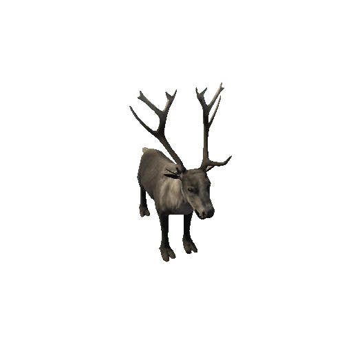 Reindeer_RM_FV _LP (Fur)